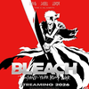 Bleach The Calamity artwork